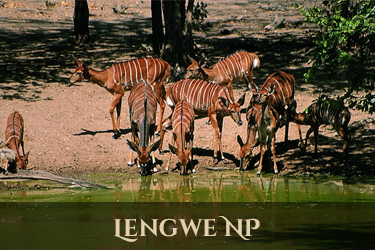 Lengwe National Park