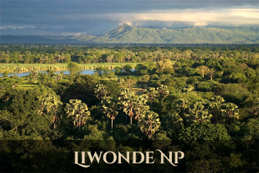 Liwonde National Park