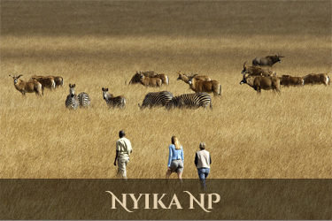 Nyika National Park
