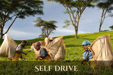 Malawi self drive